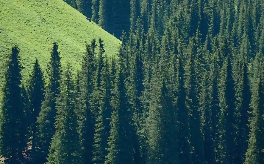 1%电量也要换的绝美壁纸｜旷野壁纸！