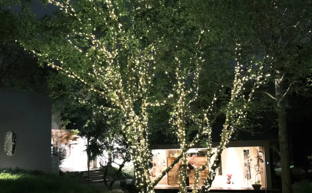 请吃饭的漂亮姐姐🍽️