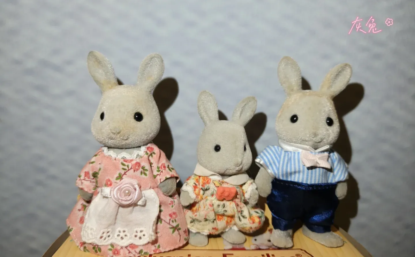 森贝儿全家福不慎泄露-兔兔篇