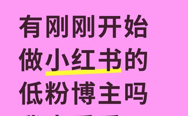 有刚刚开始做小红书的低粉博主吗。我去看看～