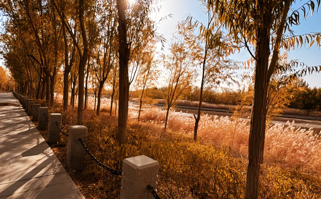 只是想被呵护的小孩