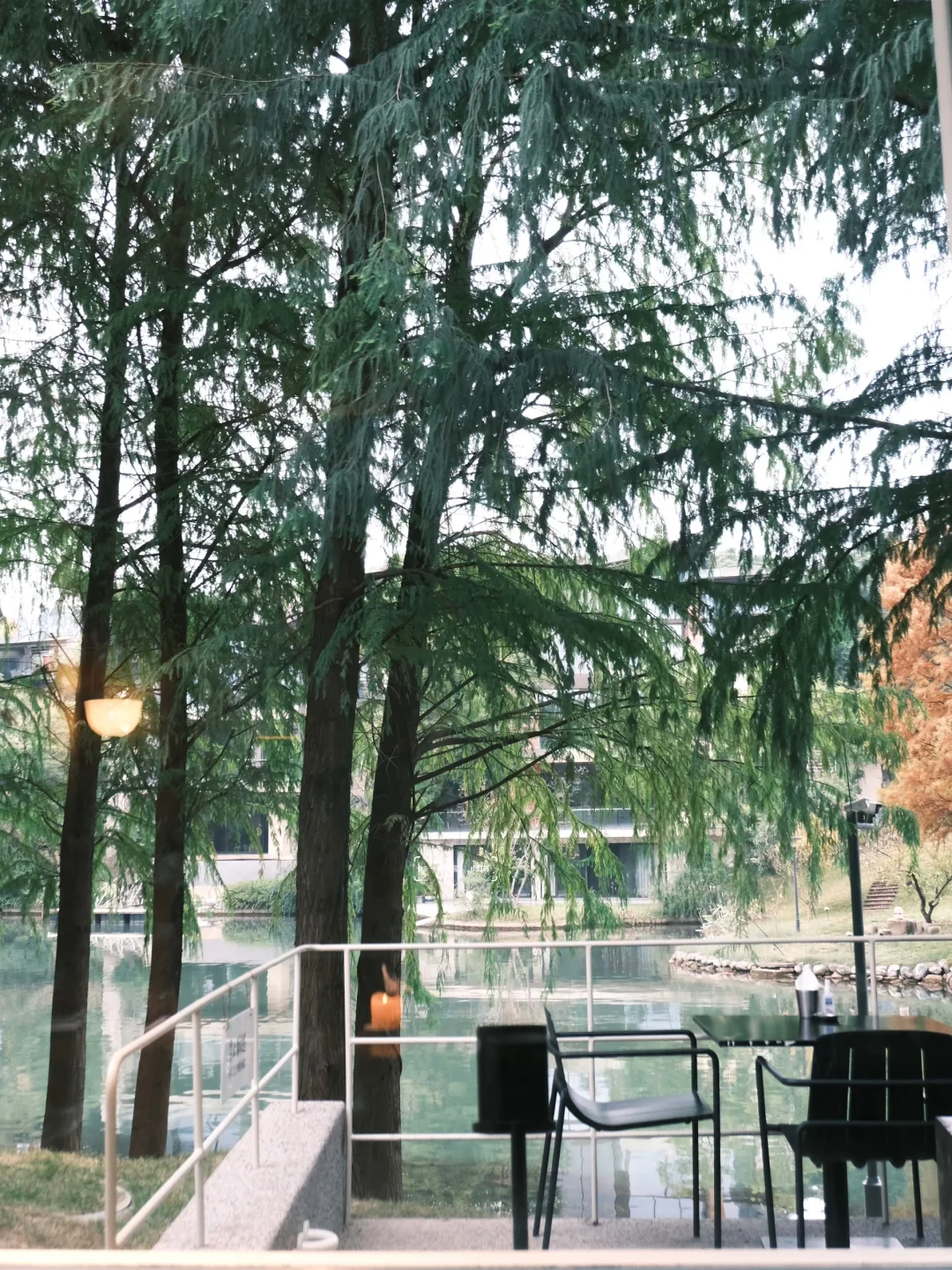 请吃饭的漂亮姐姐🍽️