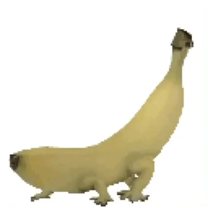 怎么有这么适合骚扰npy的图！