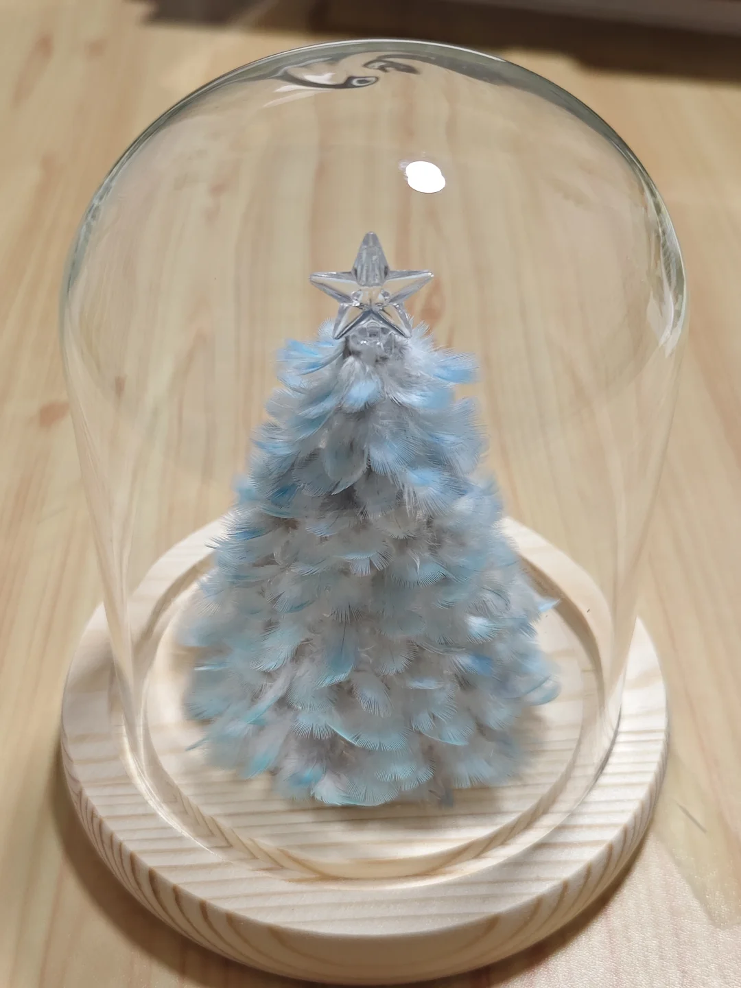 🦜:人，我很满意。