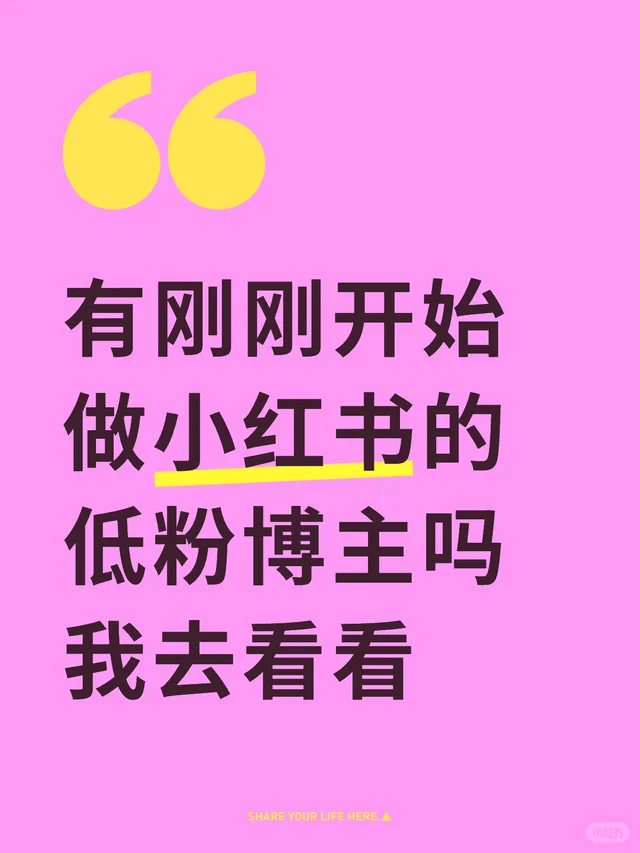有刚刚开始做小红书的低粉博主吗。我去看看～