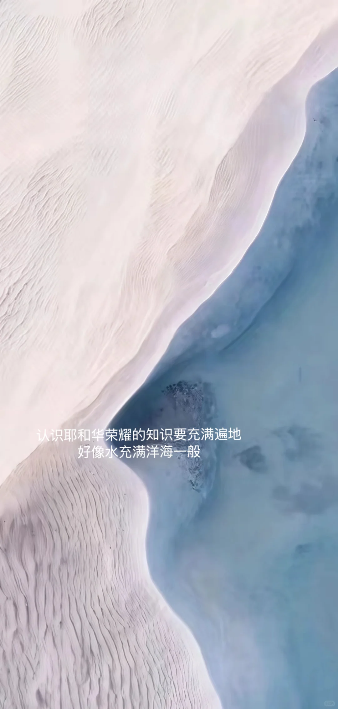 十二月二十四日 今天的感动