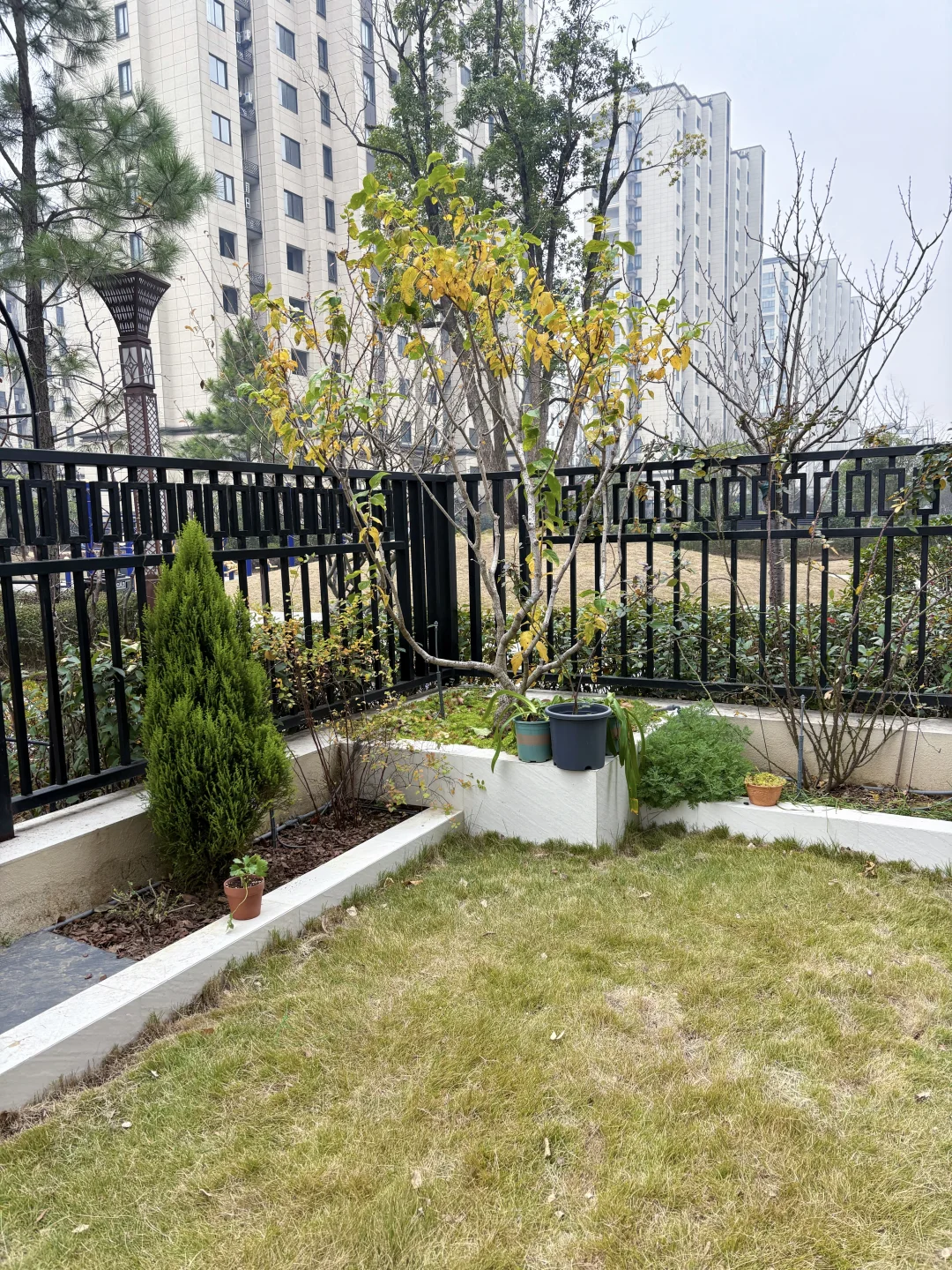 自己设计的花园，快来抄作业吧（附设计图）