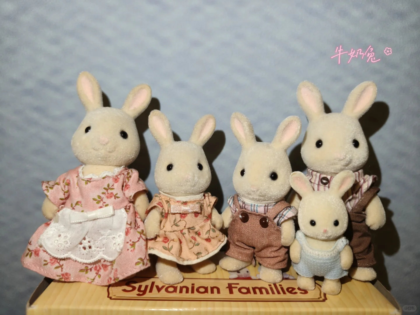 森贝儿全家福不慎泄露-兔兔篇