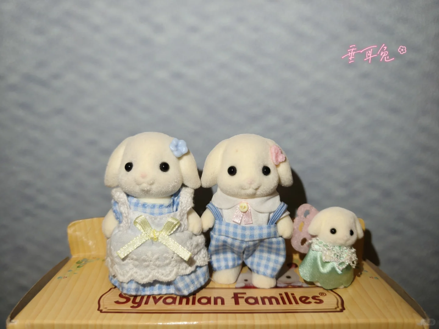 森贝儿全家福不慎泄露-兔兔篇