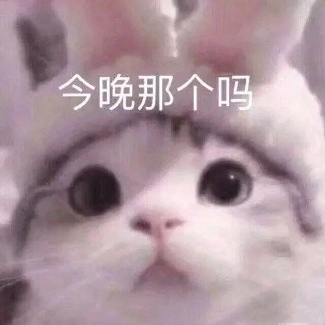 表情包40｜调戏男友表情包