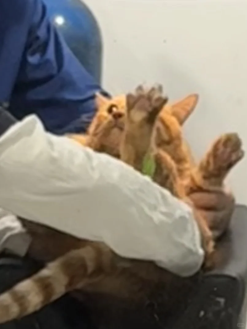 这把坏了 叫妈妈不应 叫地地不灵