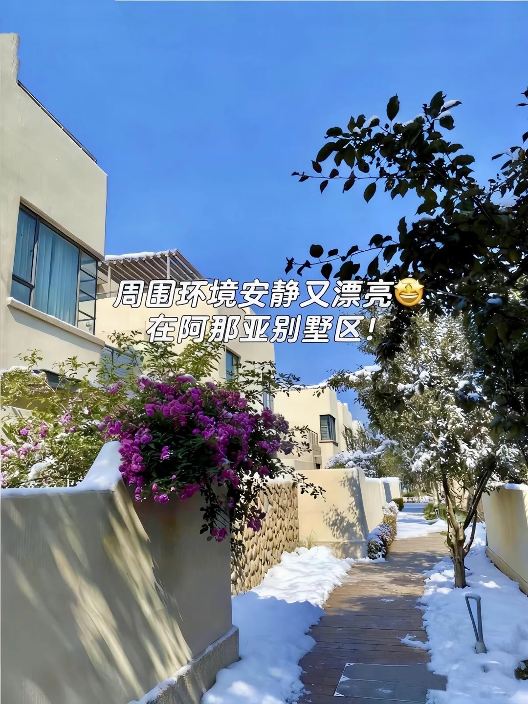 来秦皇岛住我家吧，158俩人😭就在阿那亚！
