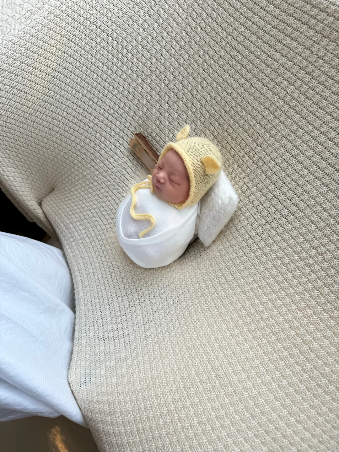 预算不够 只生了这么一点点🤏