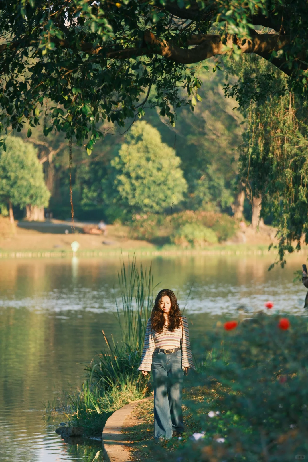 东莞植物园 拍妹子的快乐谁懂