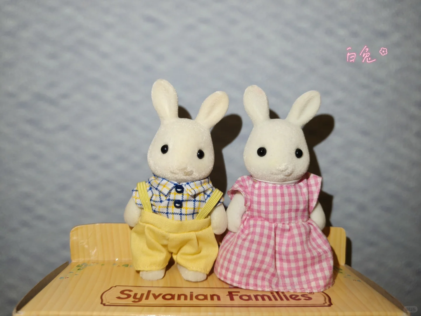 森贝儿全家福不慎泄露-兔兔篇