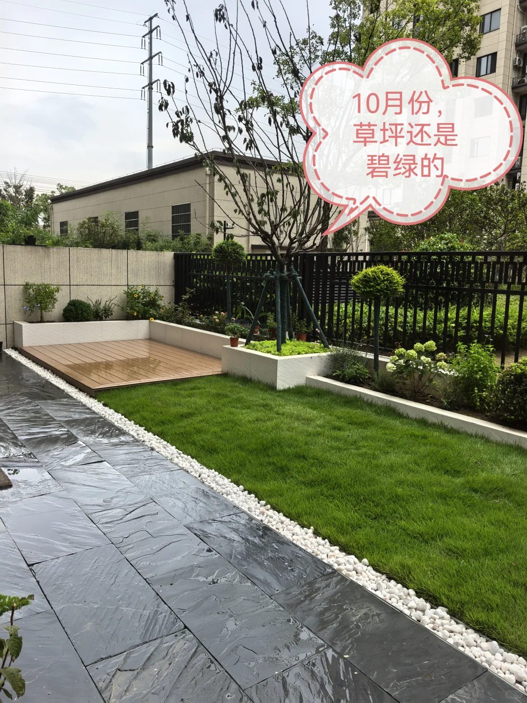 自己设计的花园，快来抄作业吧（附设计图）