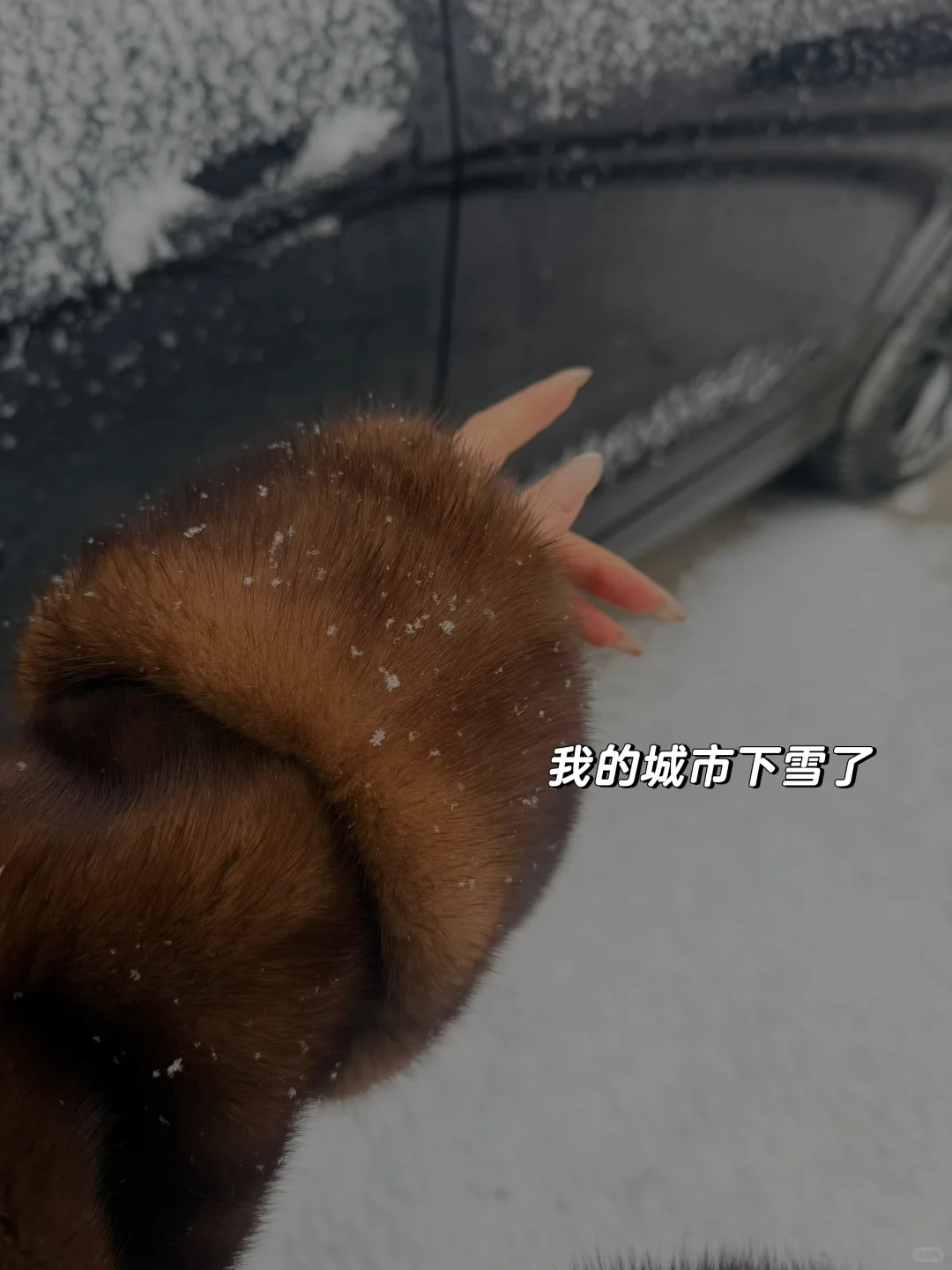 中年少妇 不漂亮但只有一点点气质哈哈哈