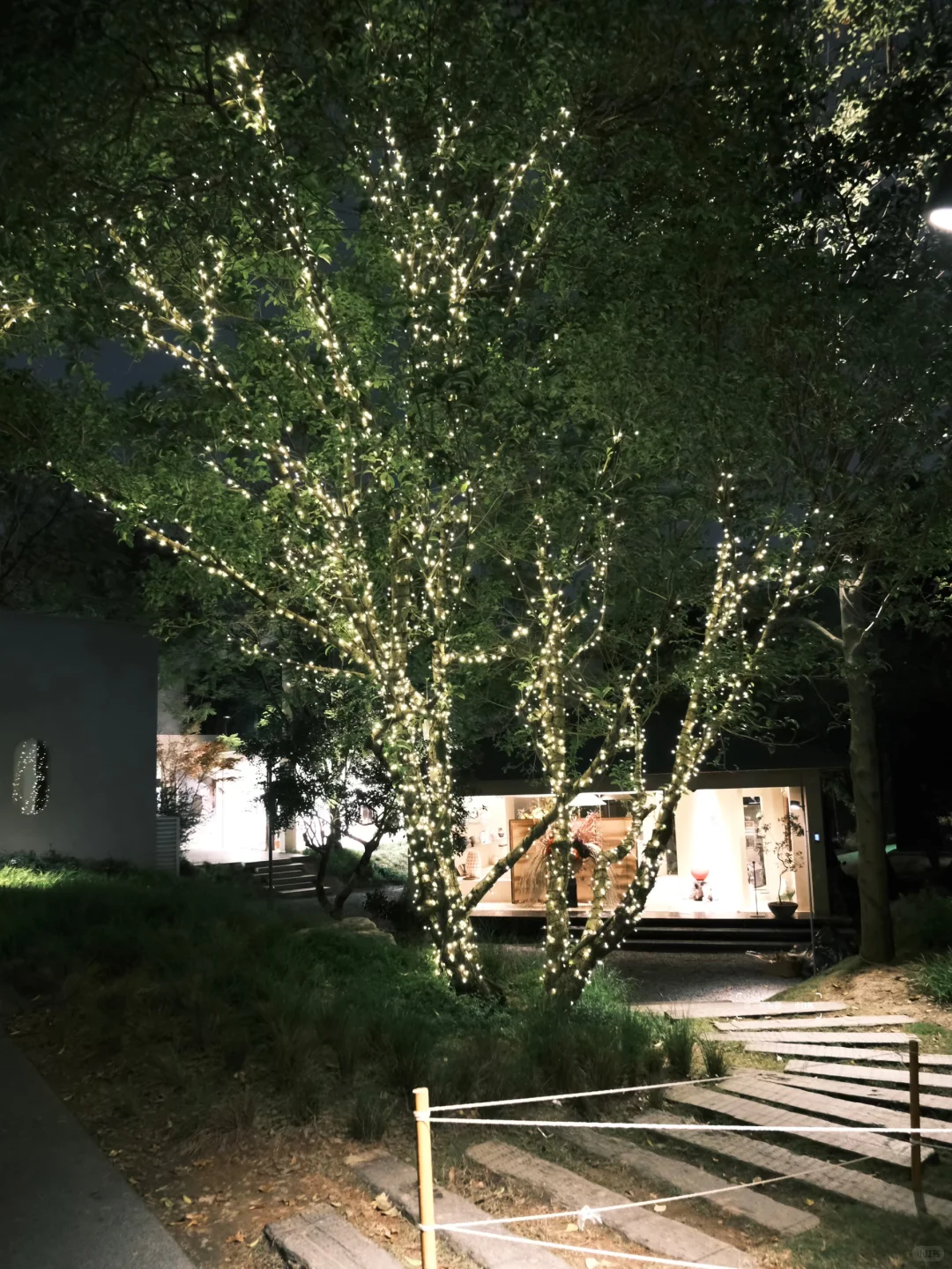 请吃饭的漂亮姐姐🍽️