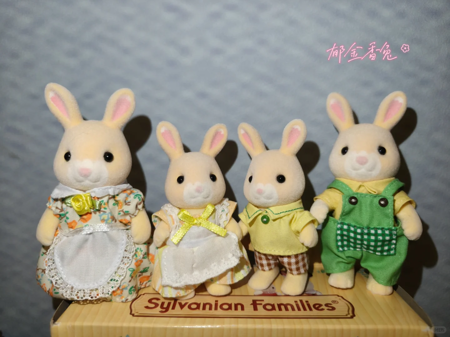 森贝儿全家福不慎泄露-兔兔篇