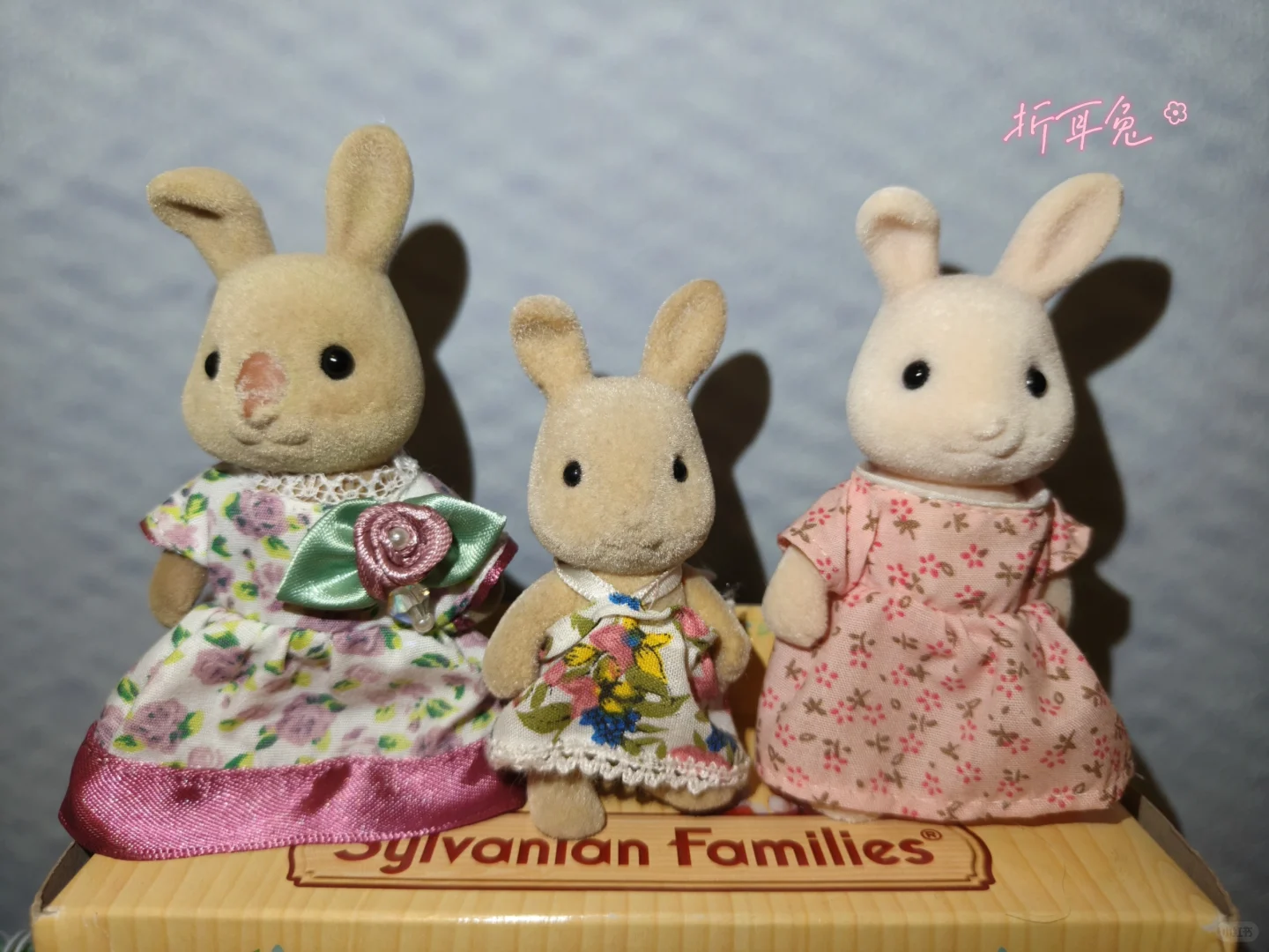 森贝儿全家福不慎泄露-兔兔篇