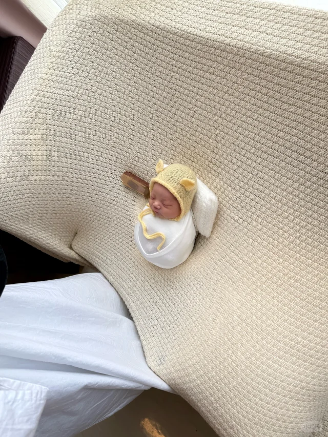 预算不够 只生了这么一点点🤏