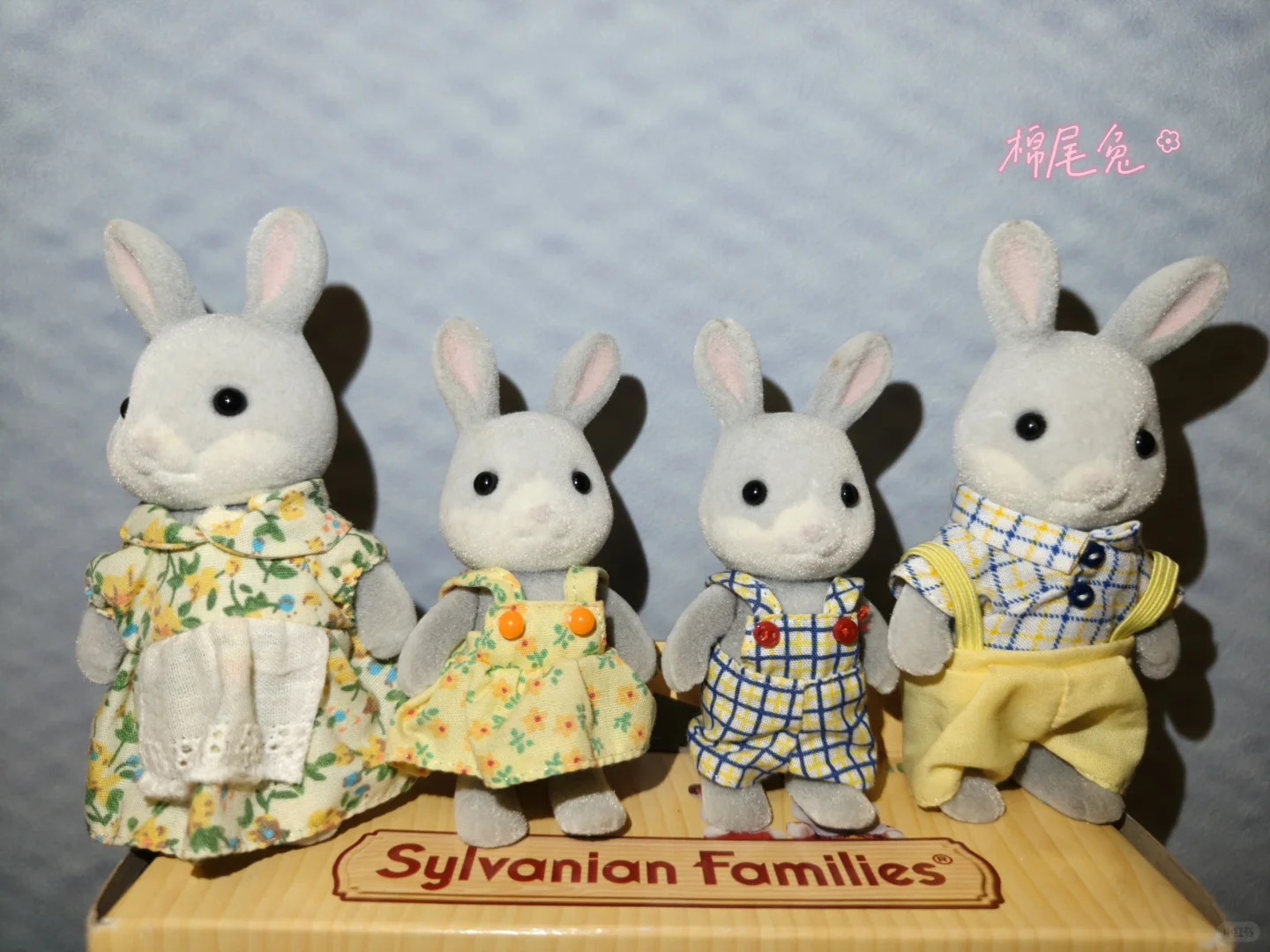 森贝儿全家福不慎泄露-兔兔篇