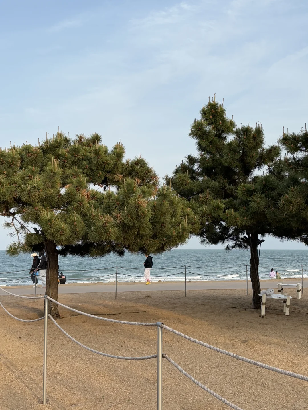 来秦皇岛住我家吧，158俩人😭就在阿那亚！