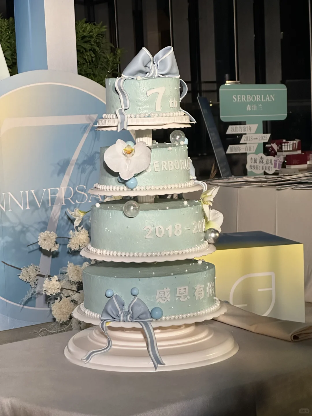 森泊兰7️⃣周年快乐🎉