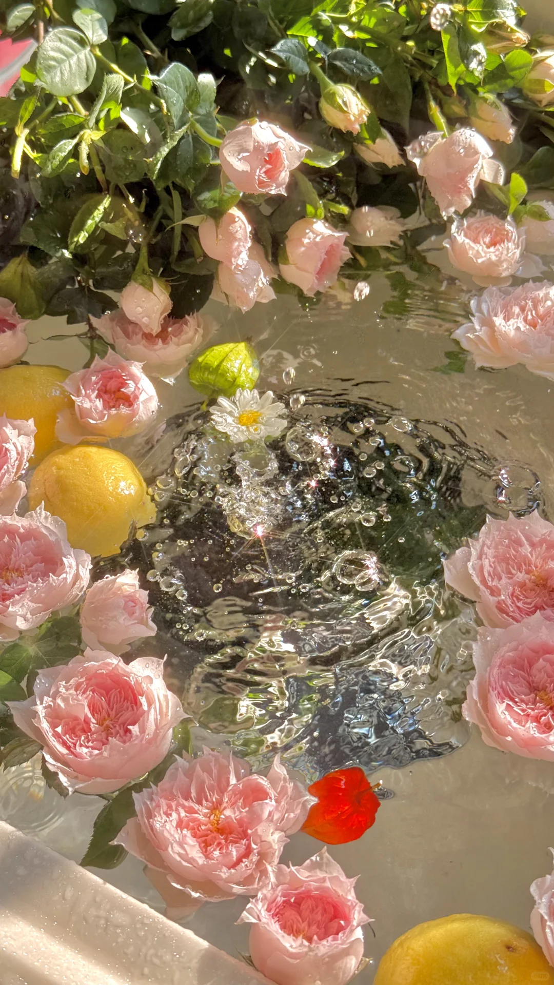 壁纸主理人｜2025年我的封神壁纸摄影图