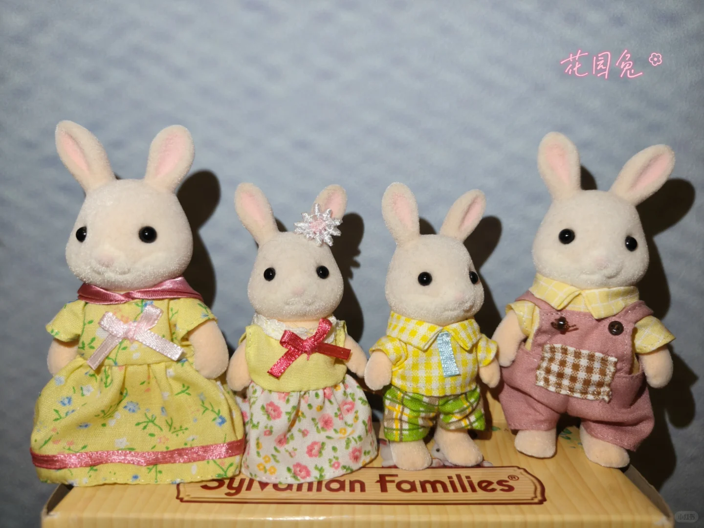 森贝儿全家福不慎泄露-兔兔篇