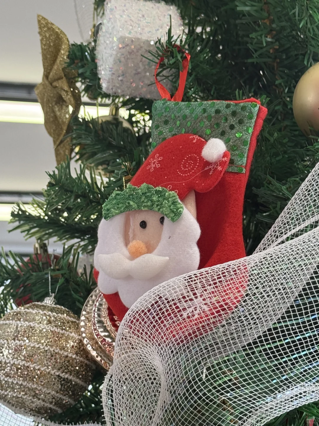 厚街随地大小放！自取圣诞小礼物