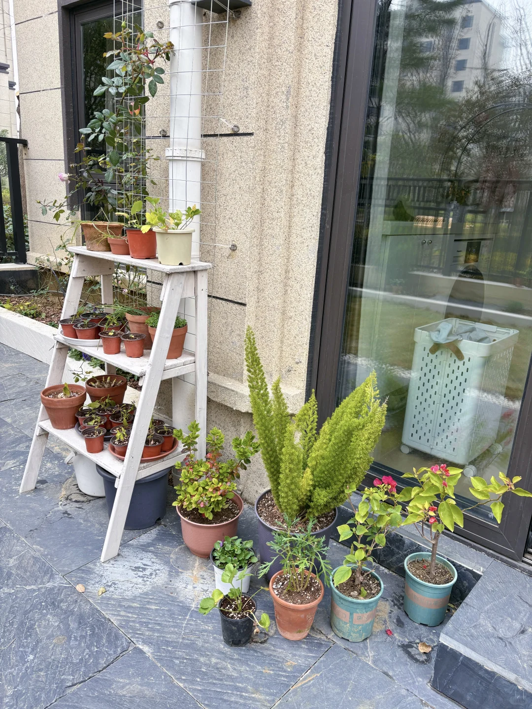 自己设计的花园，快来抄作业吧（附设计图）