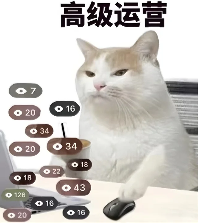 感觉马上被开了