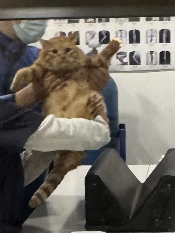 这把坏了 叫妈妈不应 叫地地不灵