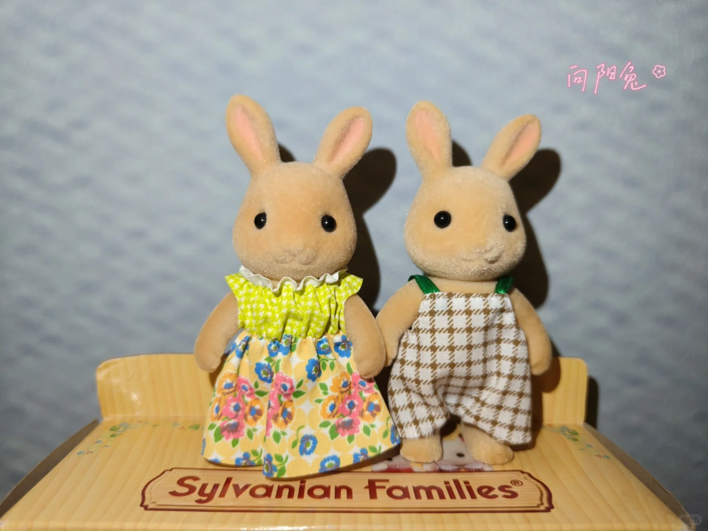 森贝儿全家福不慎泄露-兔兔篇