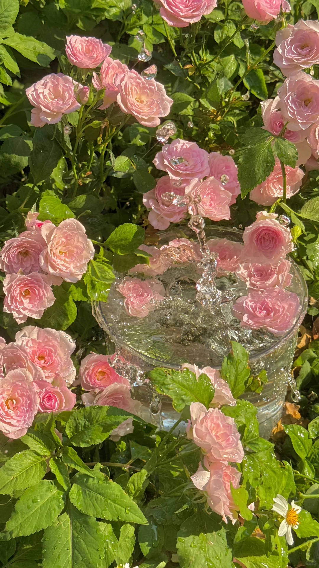 壁纸主理人｜2025年我的封神壁纸摄影图