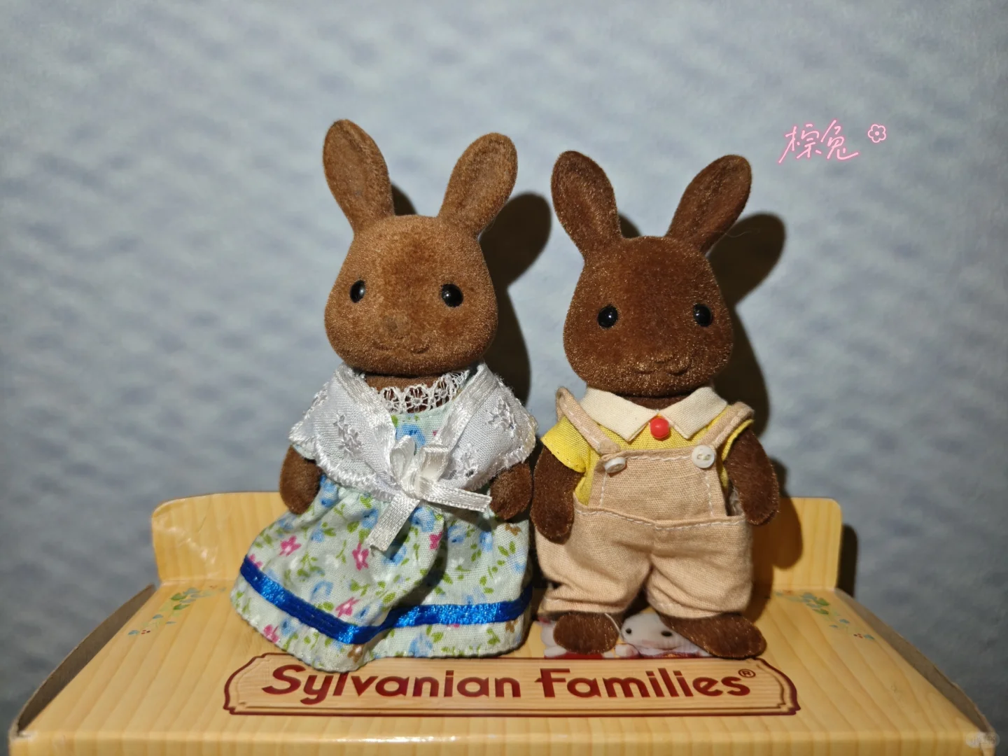 森贝儿全家福不慎泄露-兔兔篇