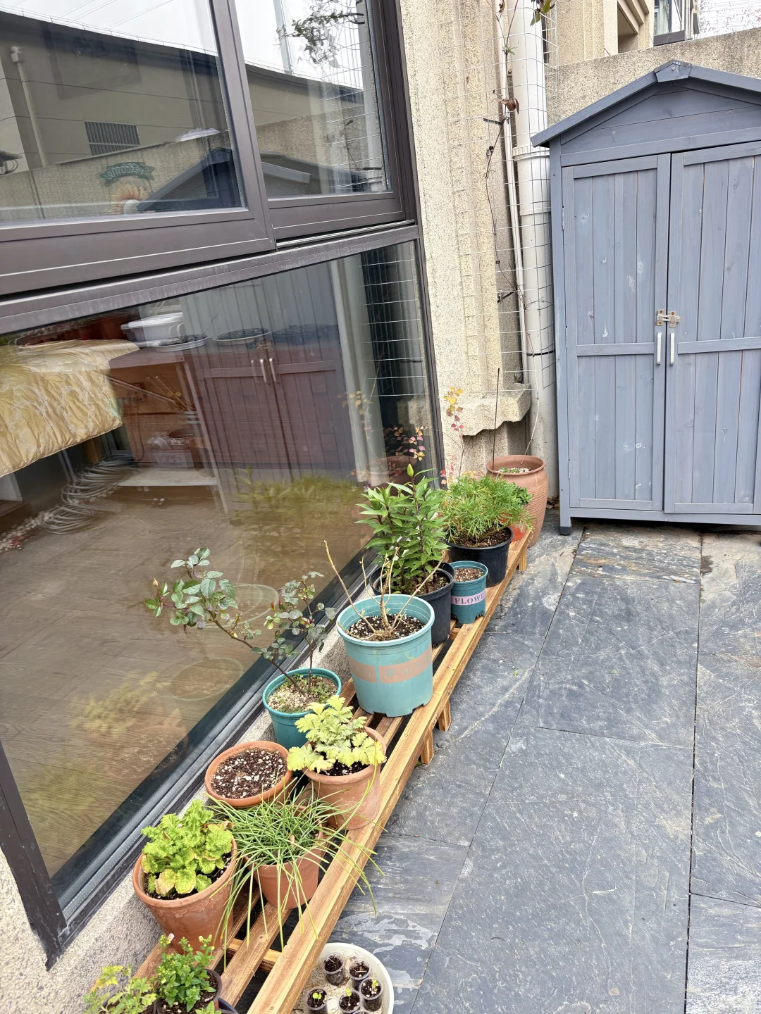 自己设计的花园，快来抄作业吧（附设计图）