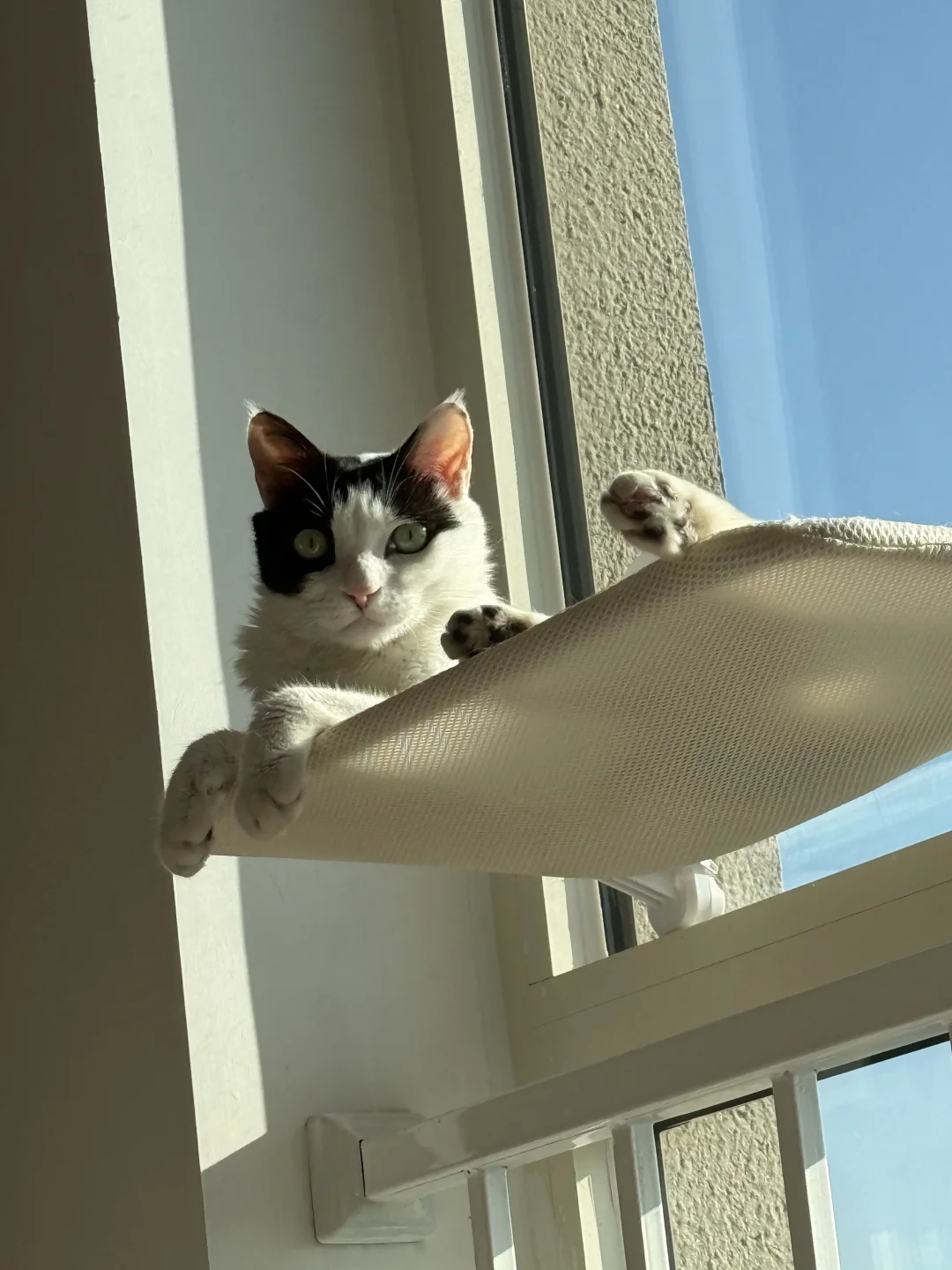 今日份人设：离婚在家带俩娃的少妇👩‍💼