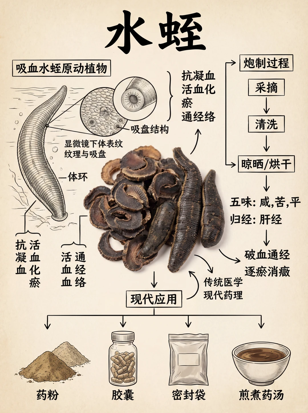 这是我收藏的古代虫子图鉴，绝了