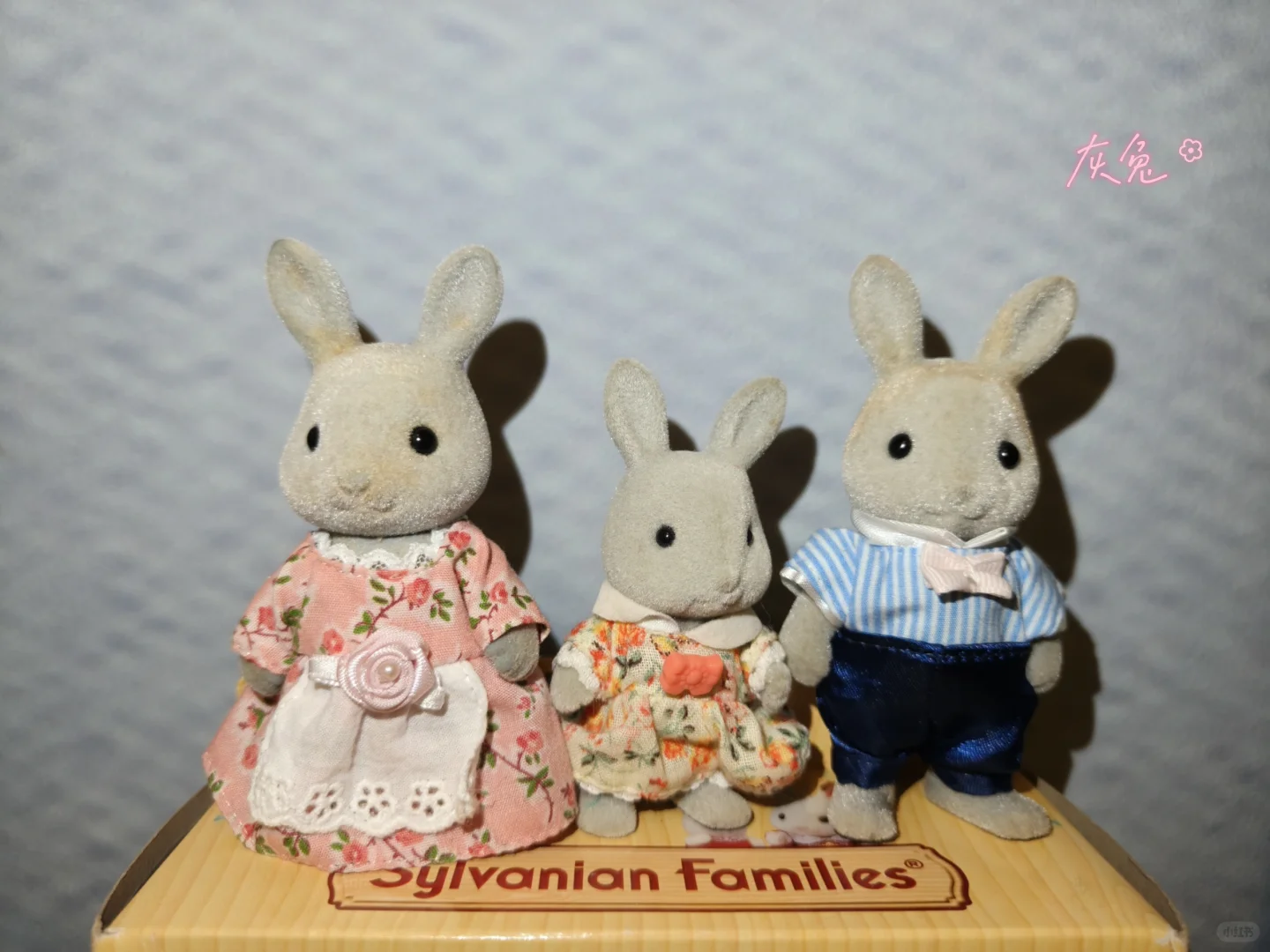 森贝儿全家福不慎泄露-兔兔篇