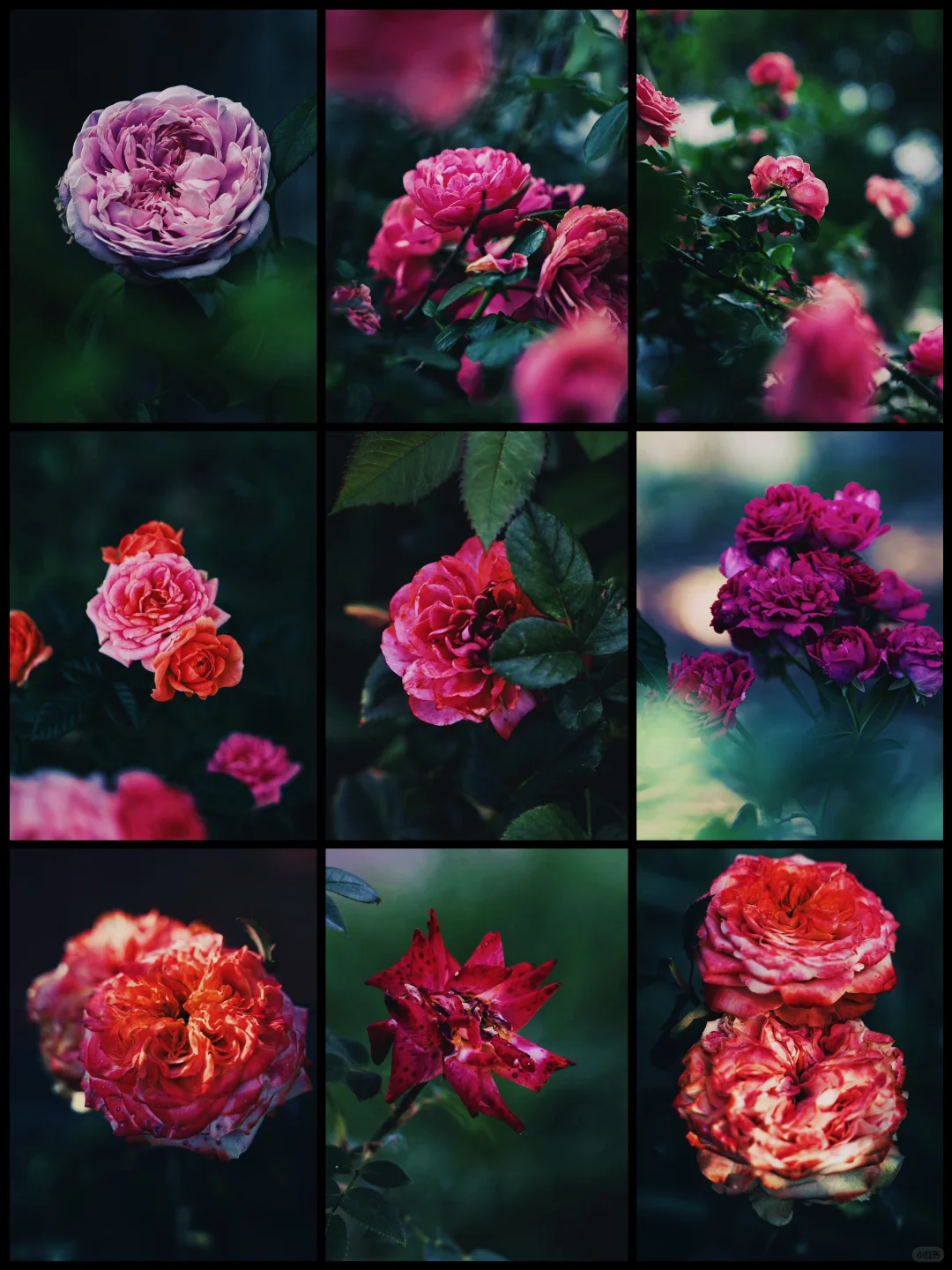 什么是人间尤物，这不就是嘛