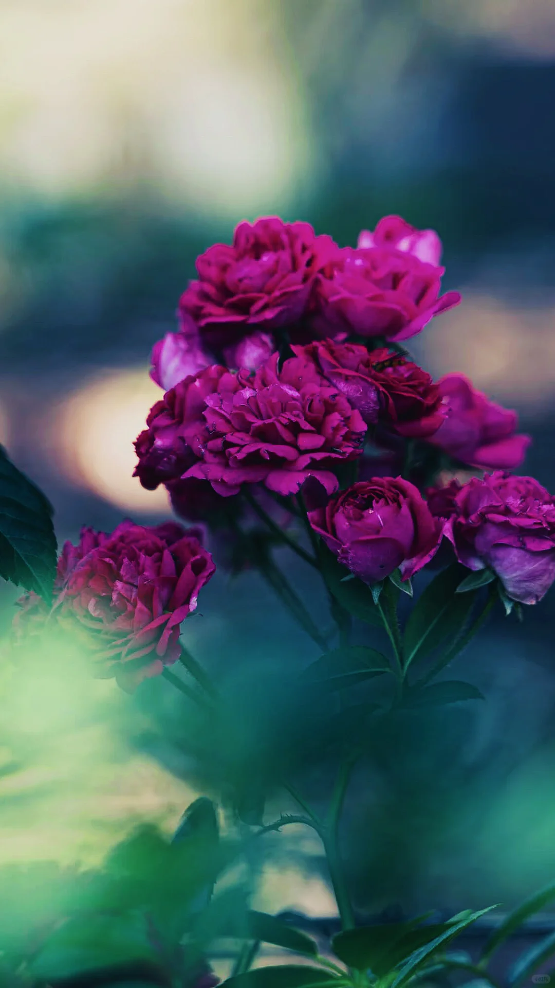 什么是人间尤物，这不就是嘛