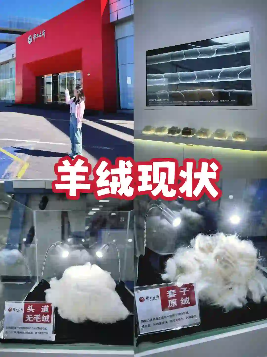 羊绒的真实现状