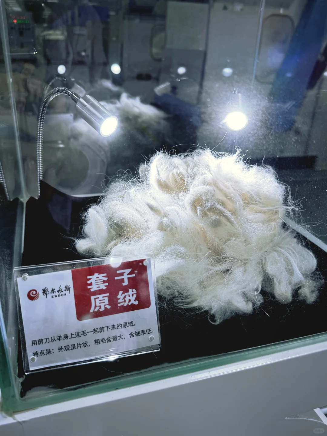 羊绒的真实现状
