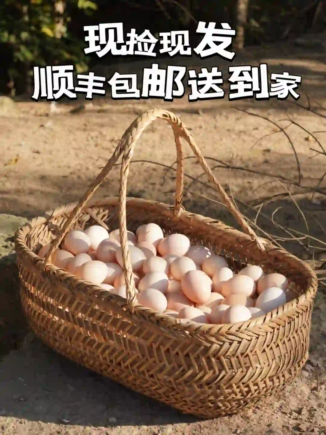 OMG，不到2杯奶茶钱，直接带走一大箱土鸡蛋