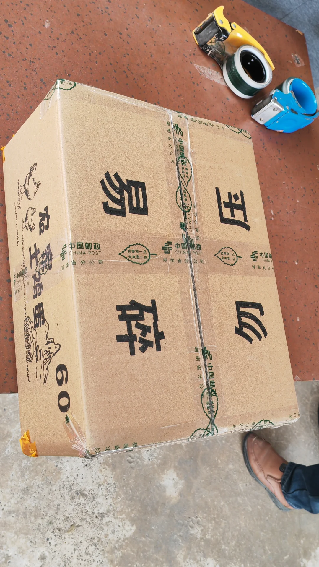 土鸡蛋真难收，怪不得这么贵。