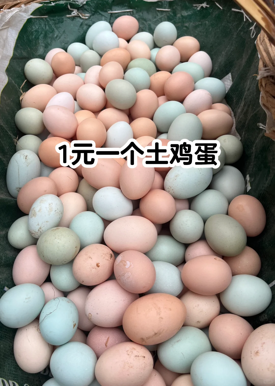 姐妹们,土鸡蛋1元一个敢下单吗?