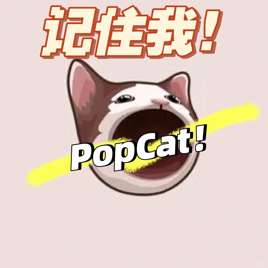 这只喵...值得