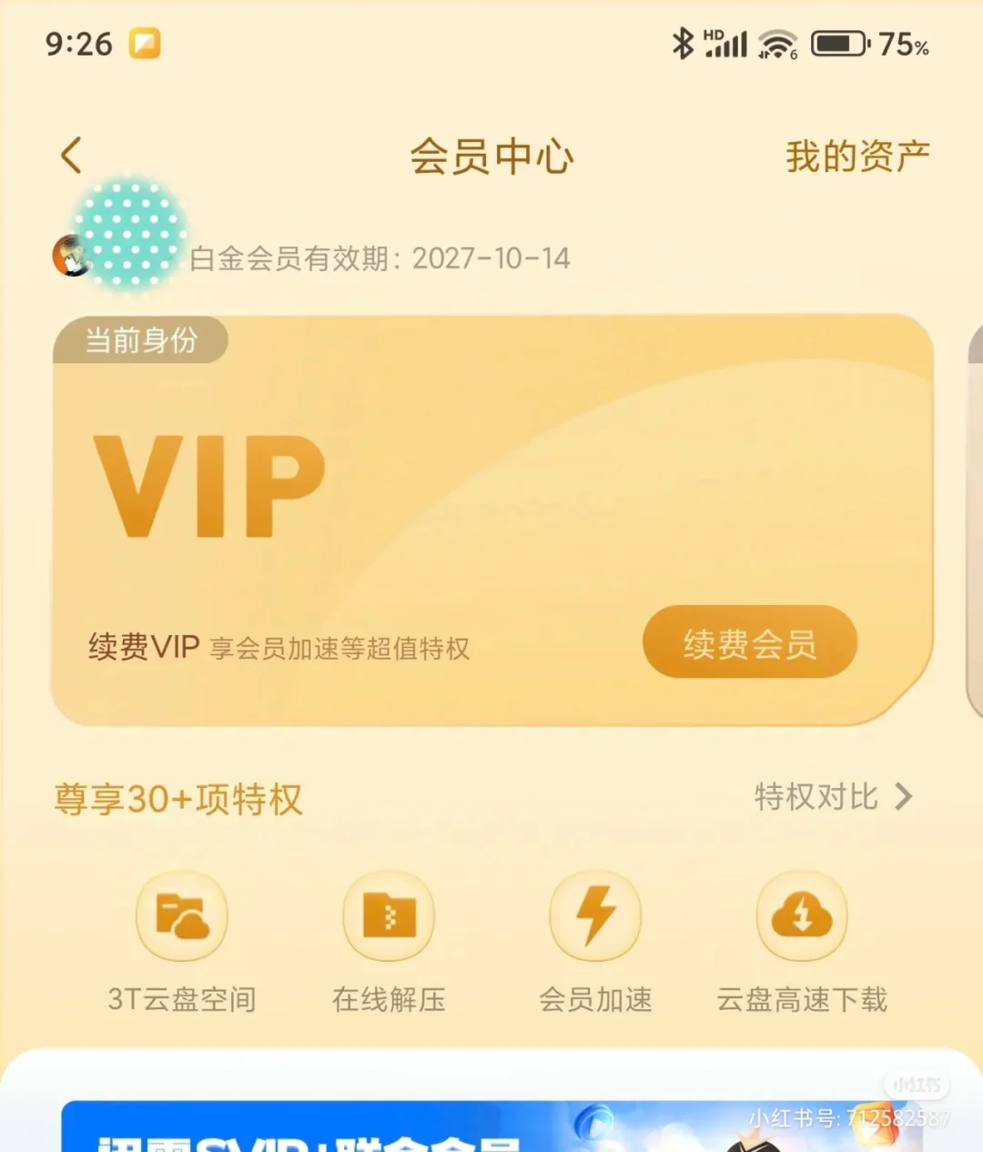 别错过！迅雷白金年卡75拍下一分钟搞定！
